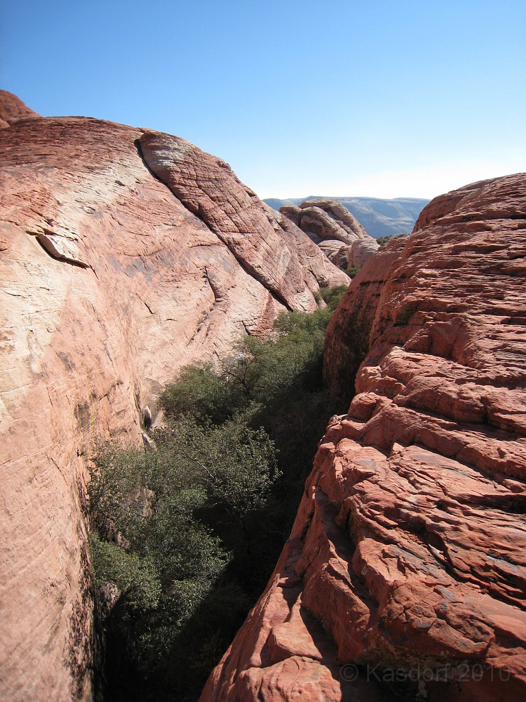 Las Vegas 2010 - Red Rock 0491.JPG - The 2010 Las Vegas Fire - Ice and Sweat Tour. Half Marathon, Red Rock Canyon, Casinos, Valley of Fire.... and buffets!